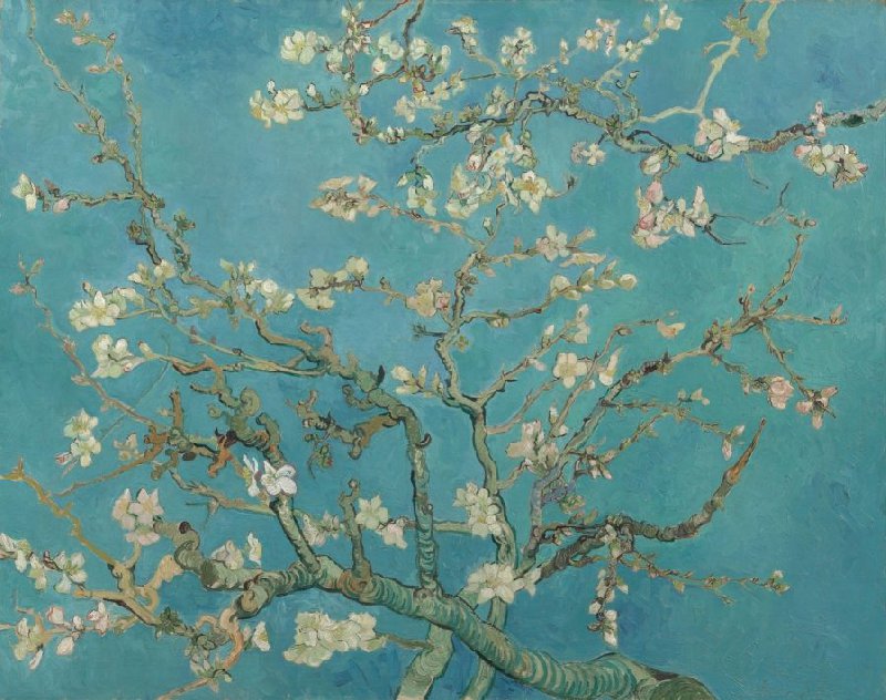 Painting "Almond Blossom" by Vincent Van Gogh (1890)